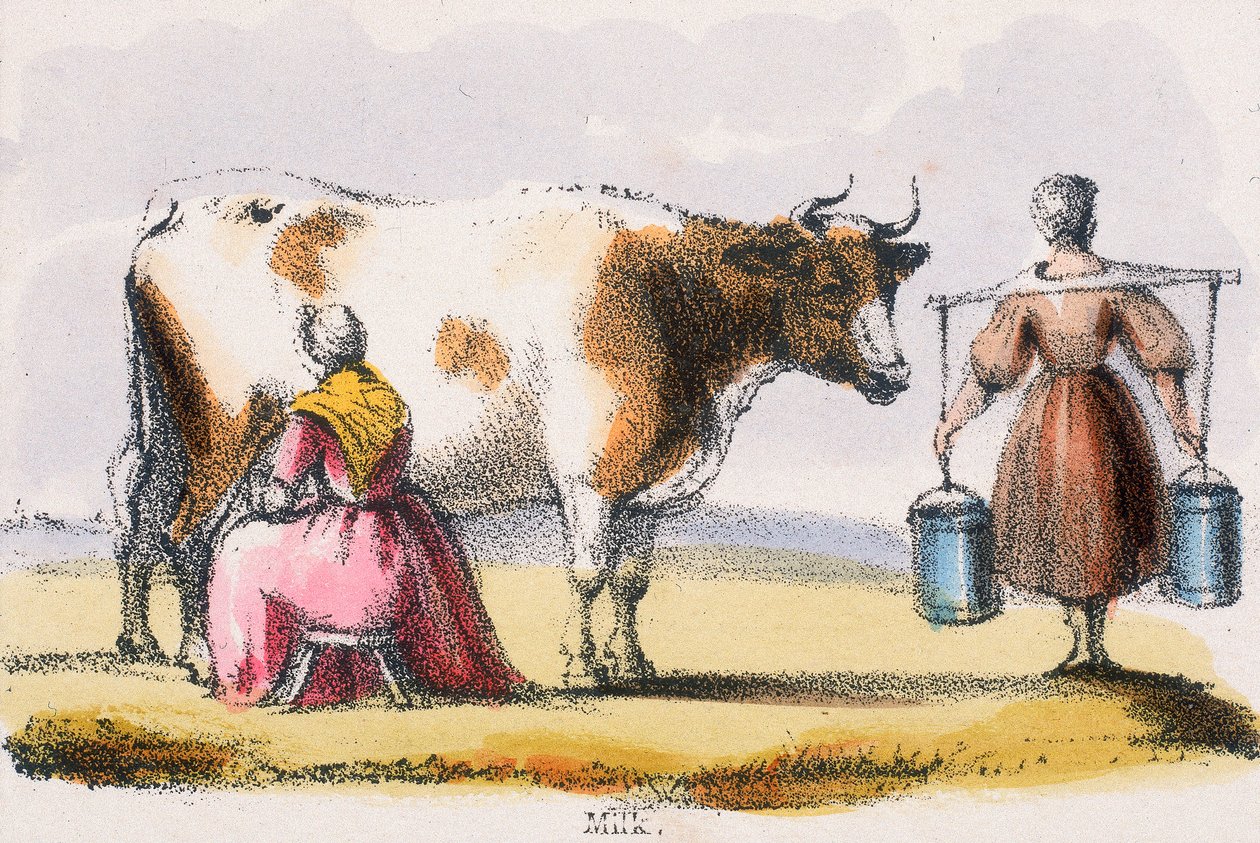 दूध, c1845 द्वारा बेंजामिन वॉटरहाउस हॉकिन्स