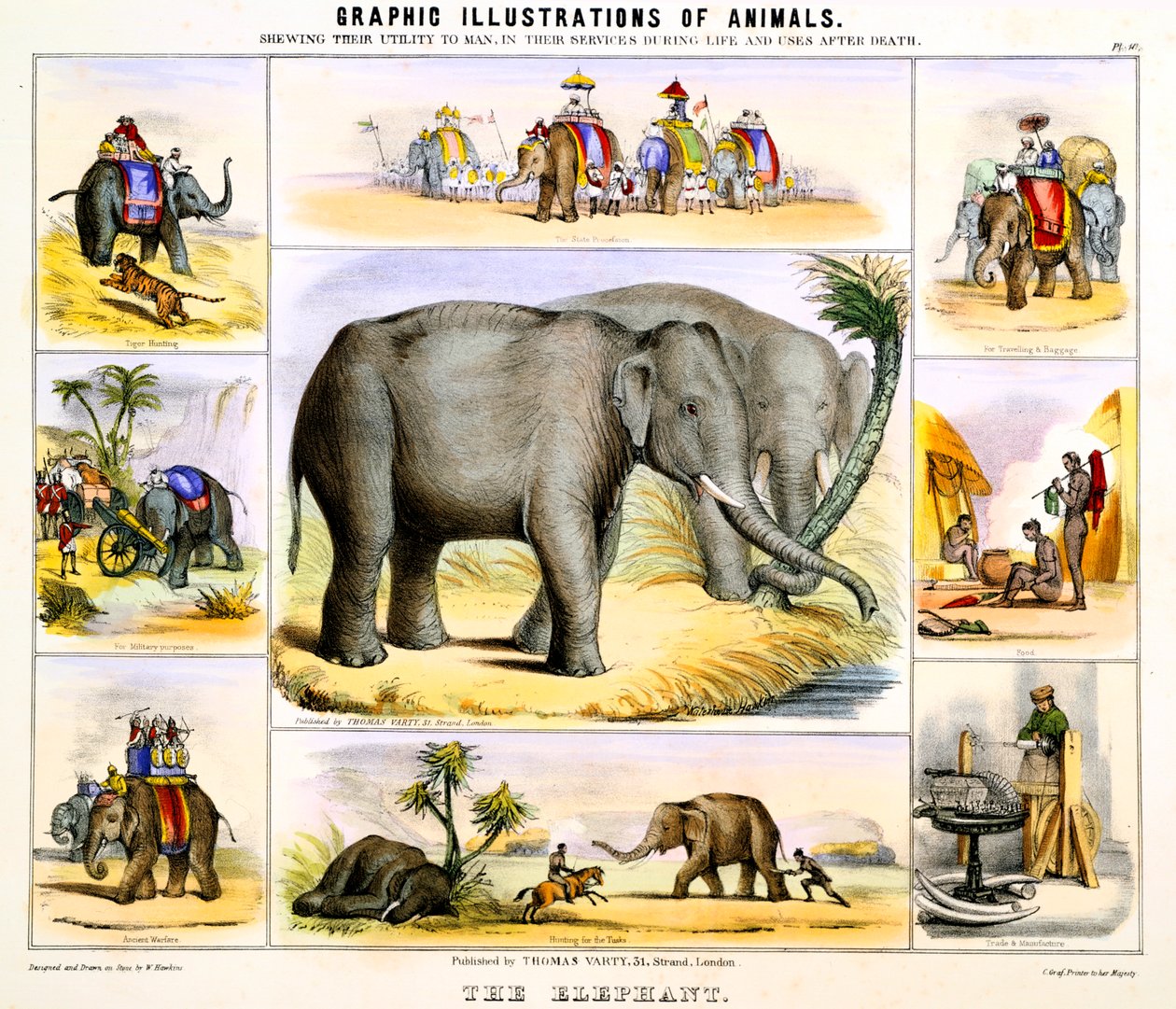 हाथी, c1850 द्वारा बेंजामिन वॉटरहाउस हॉकिन्स