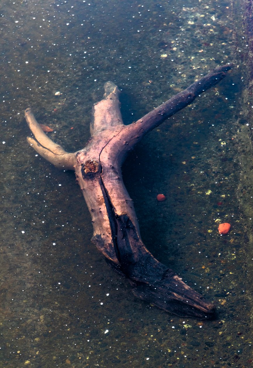  द्वारा 