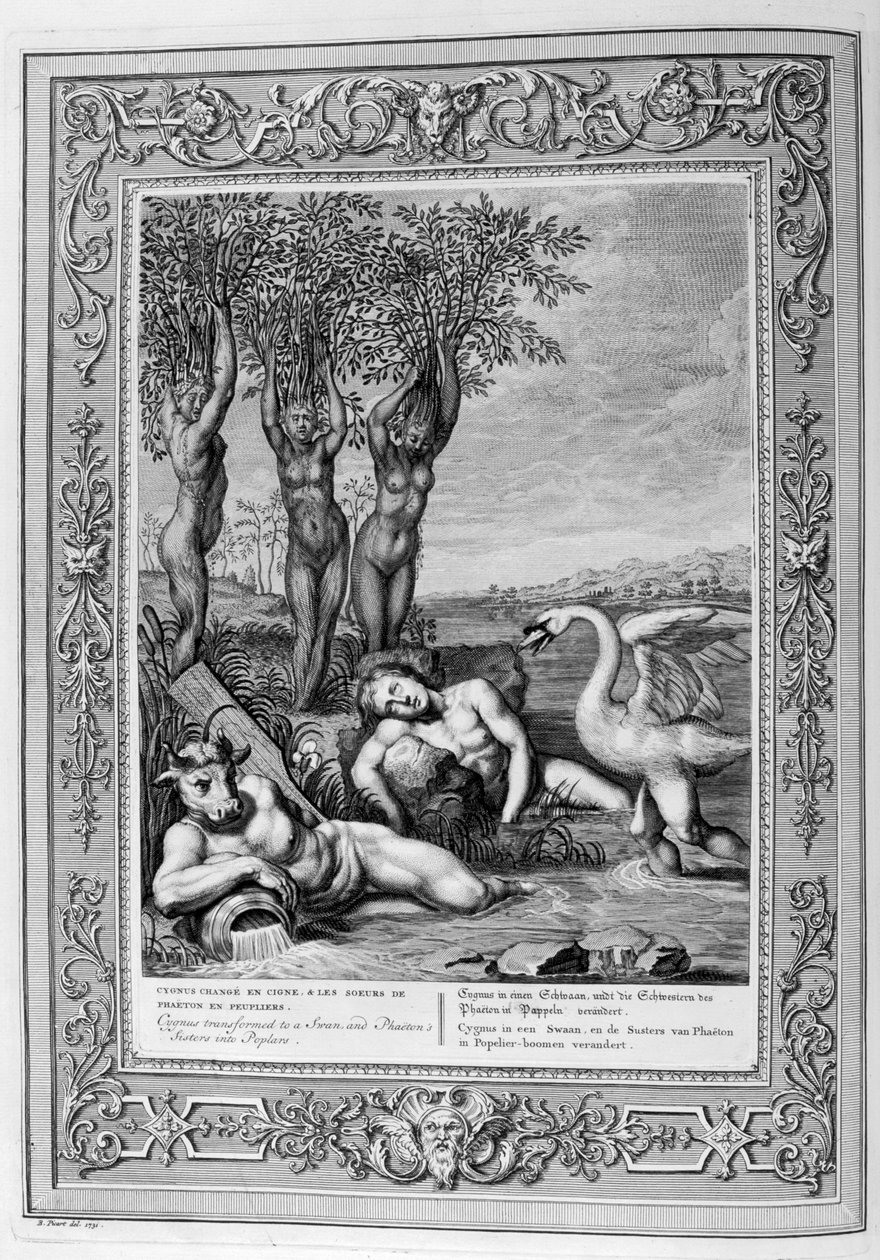 साइग्नस एक हंस और फेटन बहनों में पॉपलर, 1733 में बदल गया द्वारा बर्नार्ड पिकार्ट