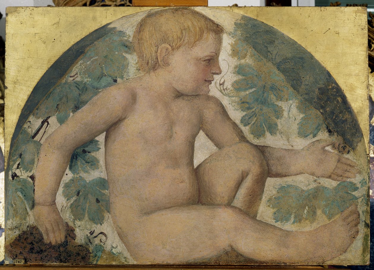 हार्वेस्टिंग पुट्टी - पुत्तो अंडर ए पेर्गोला, c.1514 (बोर्ड पर अलग किया गया फ्रेस्को) द्वारा बर्नार्डिनो लुइनी