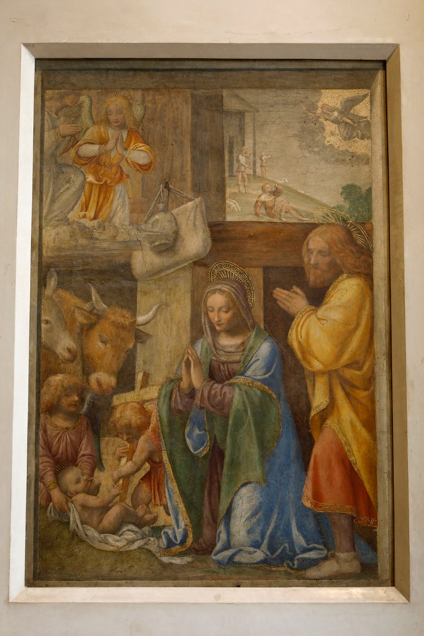 चरवाहों का जन्म और आराधना, c. 1520-1525 (पैनल पर तेल) द्वारा बर्नार्डिनो लुइनी