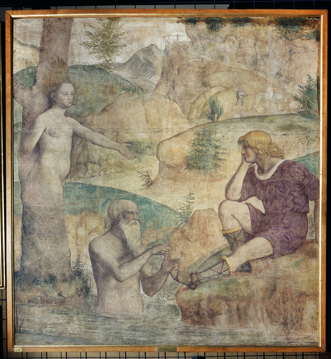 ड्रोप और तवियानो द्वारा गंभीर वाणिज्य दूतावास, c.1514 (कैनवास पर अलग किया गया फ्रेस्को) द्वारा बर्नार्डिनो लुइनी