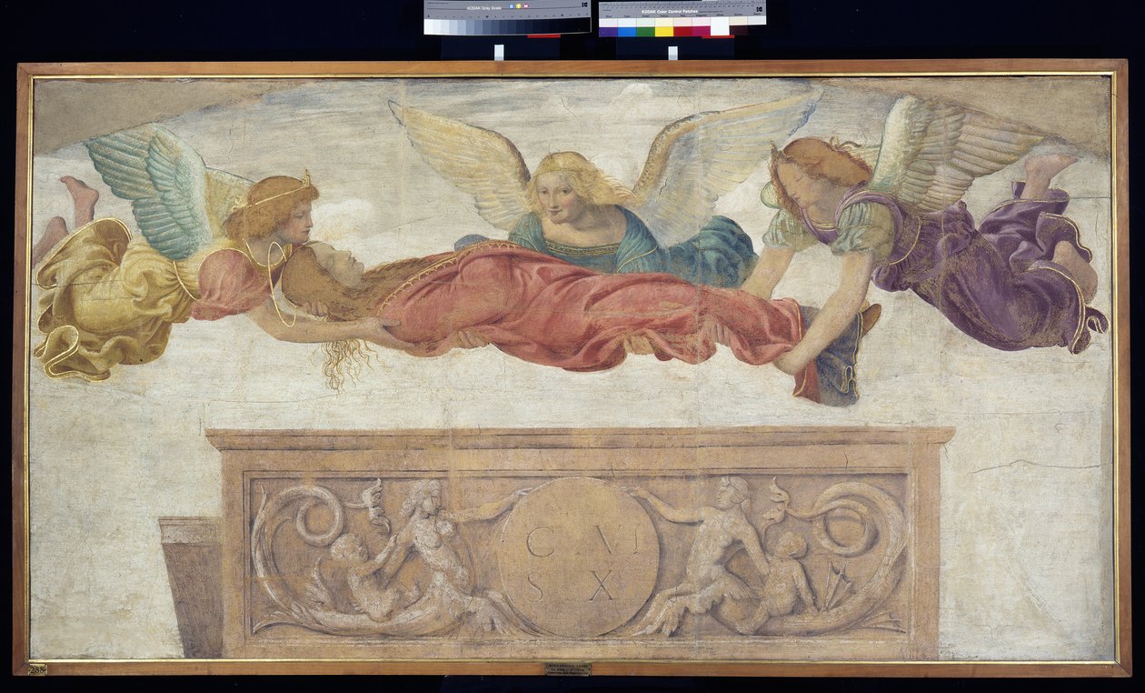 सेंट कैथरीन का शरीर स्वर्गदूतों द्वारा ले जाया गया, c.1514 (बोर्ड पर ले जाया गया अलग फ्रेस्को) द्वारा बर्नार्डिनो लुइनी
