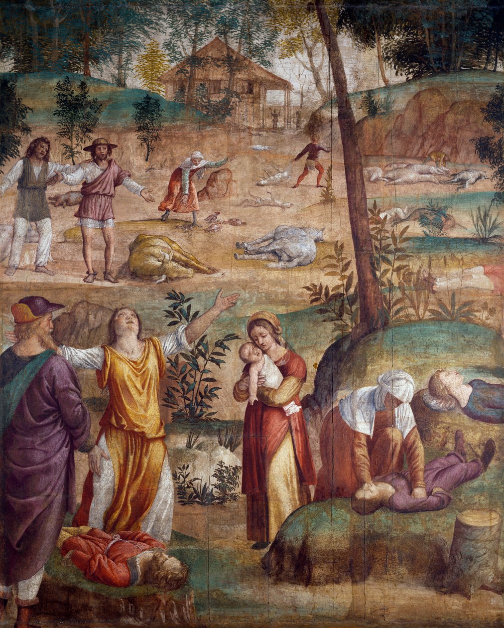 बर्नार्डिनो लुइनी (सीए 1480-सीए 1532) द्वारा जेठा की मृत्यु, लकड़ी पर स्थानांतरित फ्रेस्को, 211x169 सेमी। द्वारा बर्नार्डिनो लुइनी