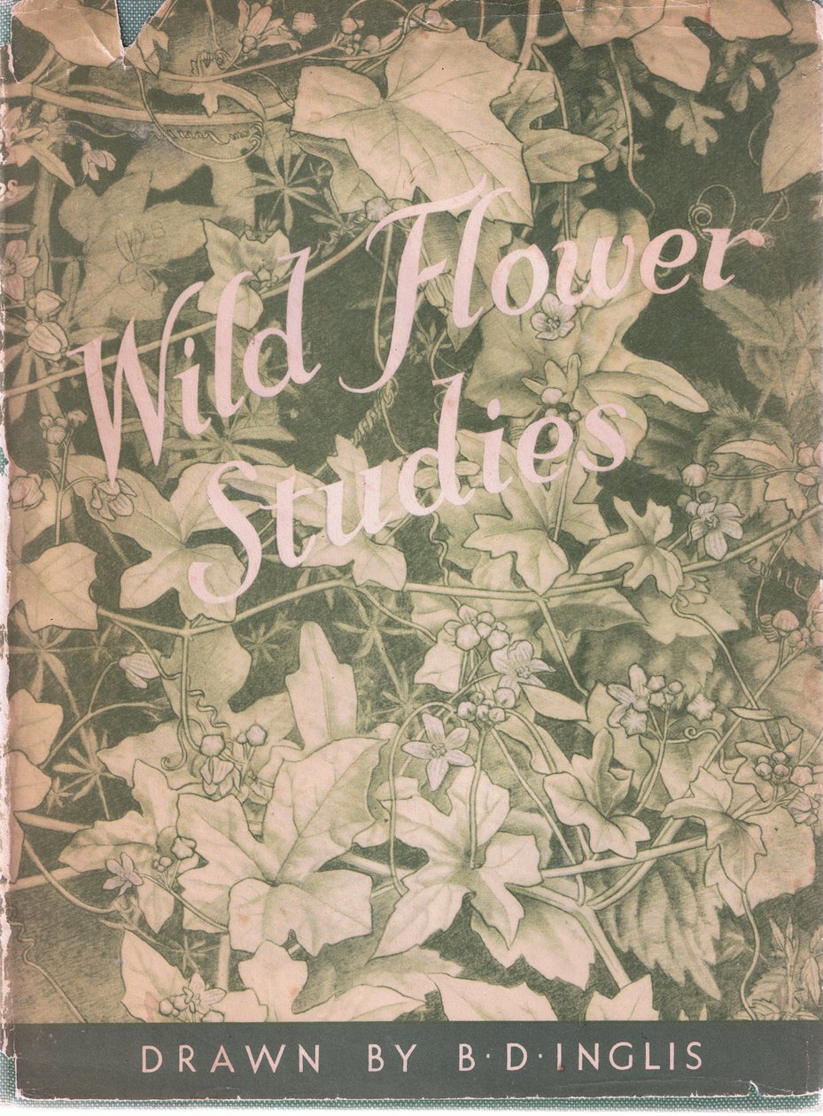 फ्रंट कवर, 1951 द्वारा बेसी डी। इंगलिस