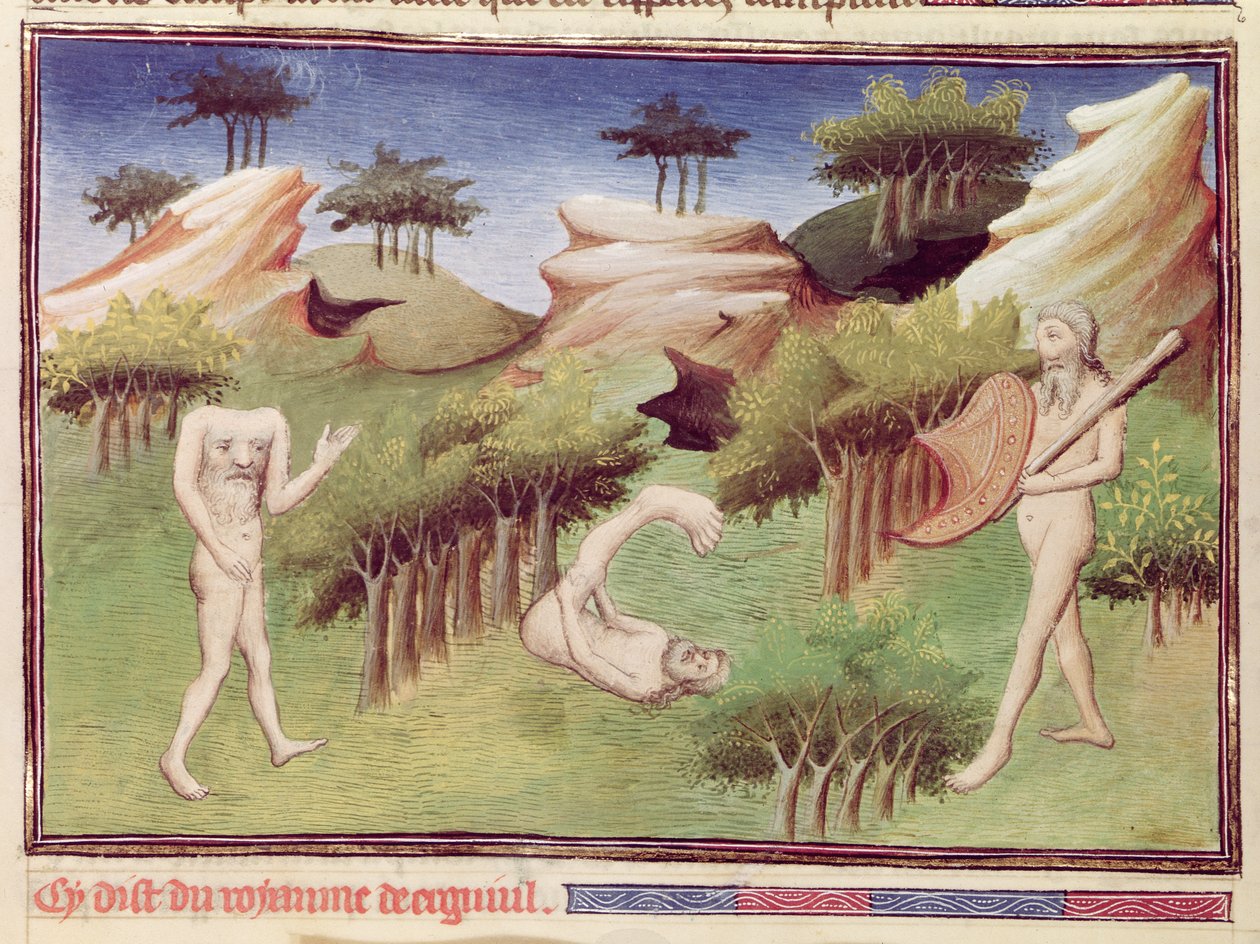 सुश्री 2810 f.29v, &39;बुक ऑफ वंडर्स ऑफ द वर्ल्ड&39; से, मैर्काइट्स की भूमि से राक्षस, c.1410-12 (वेल्लम पर तापमान) द्वारा बाउकाइक मास्टर