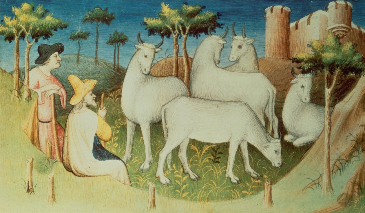 Ms Fr 2810 f.13v, मार्को पोलो अपनी यात्रा पर, &39;बुक ऑफ द वंडर्स ऑफ द वर्ल्ड&39; से, c.1410-12 (वेल्लम पर तमाशा) द्वारा बाउकाइक मास्टर