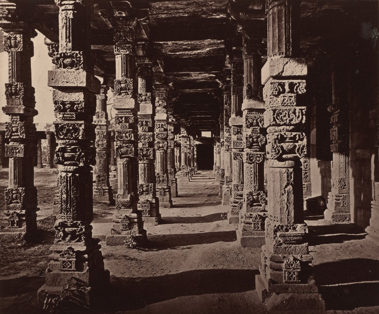  द्वारा बॉर्न और शेफर्ड