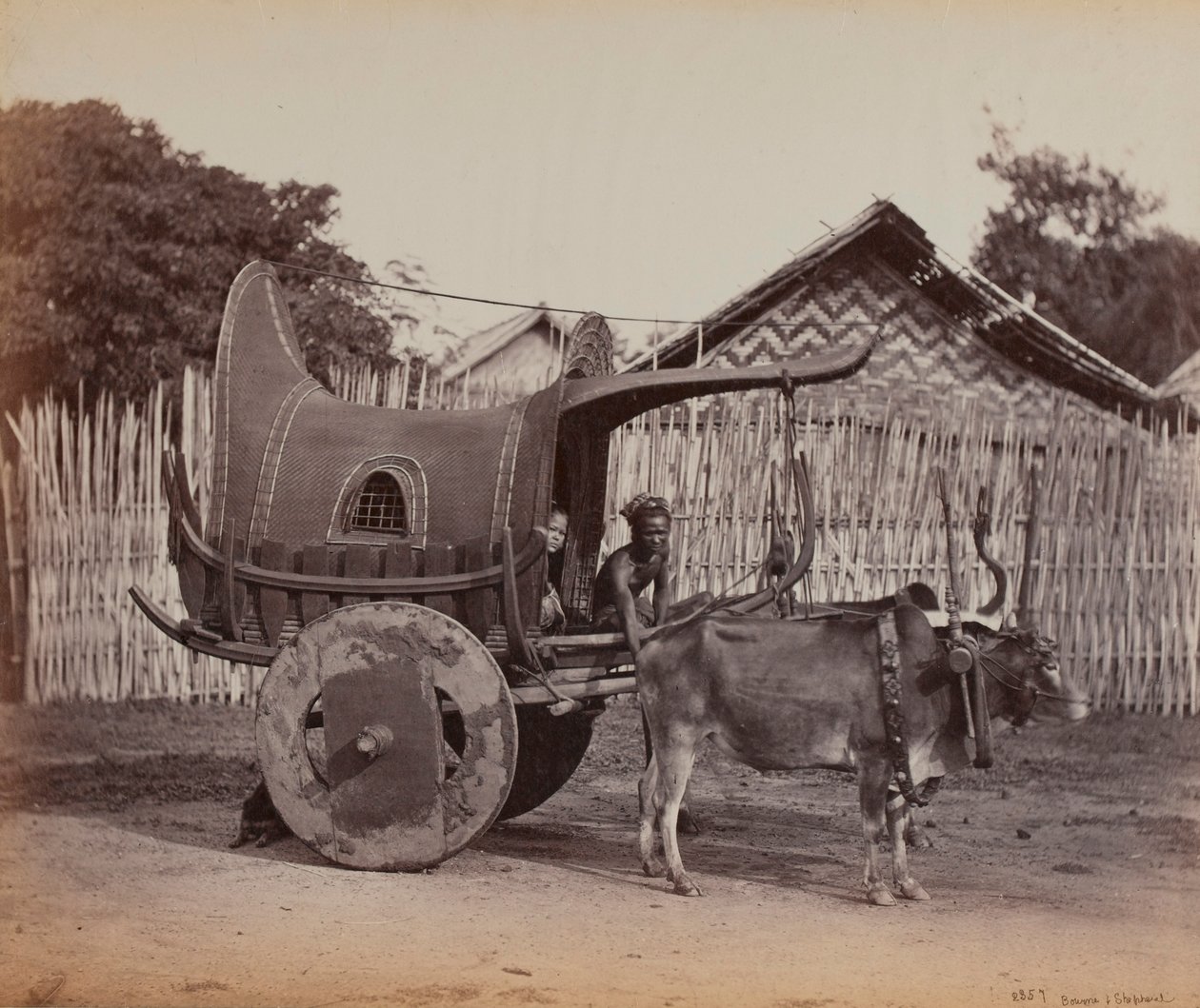 कंट्री कार्ट, बर्मा (1886-88) द्वारा ब्रिटिश फोटोग्राफर