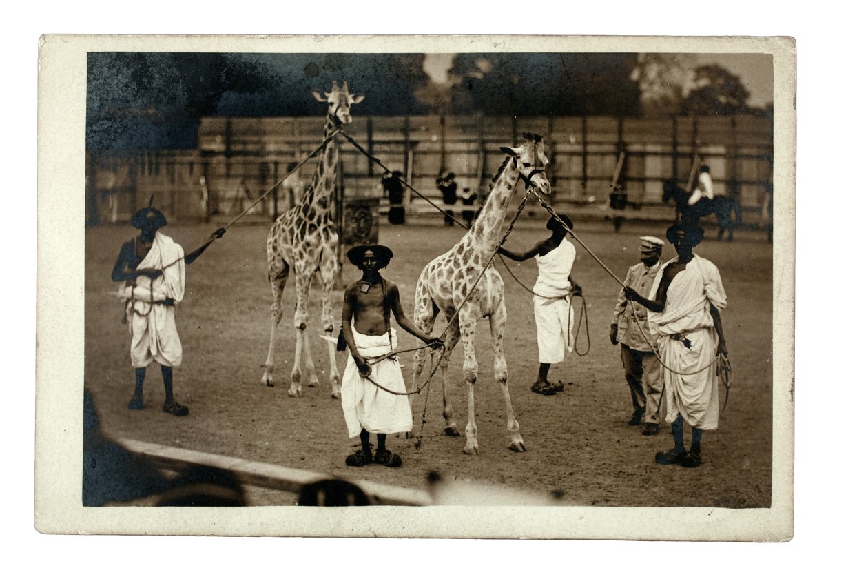  द्वारा ब्रिटिश फोटोग्राफर