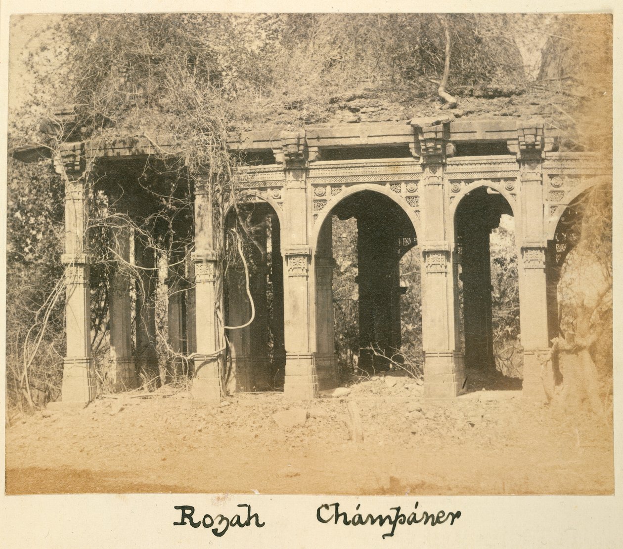  द्वारा ब्रिटिश फोटोग्राफर