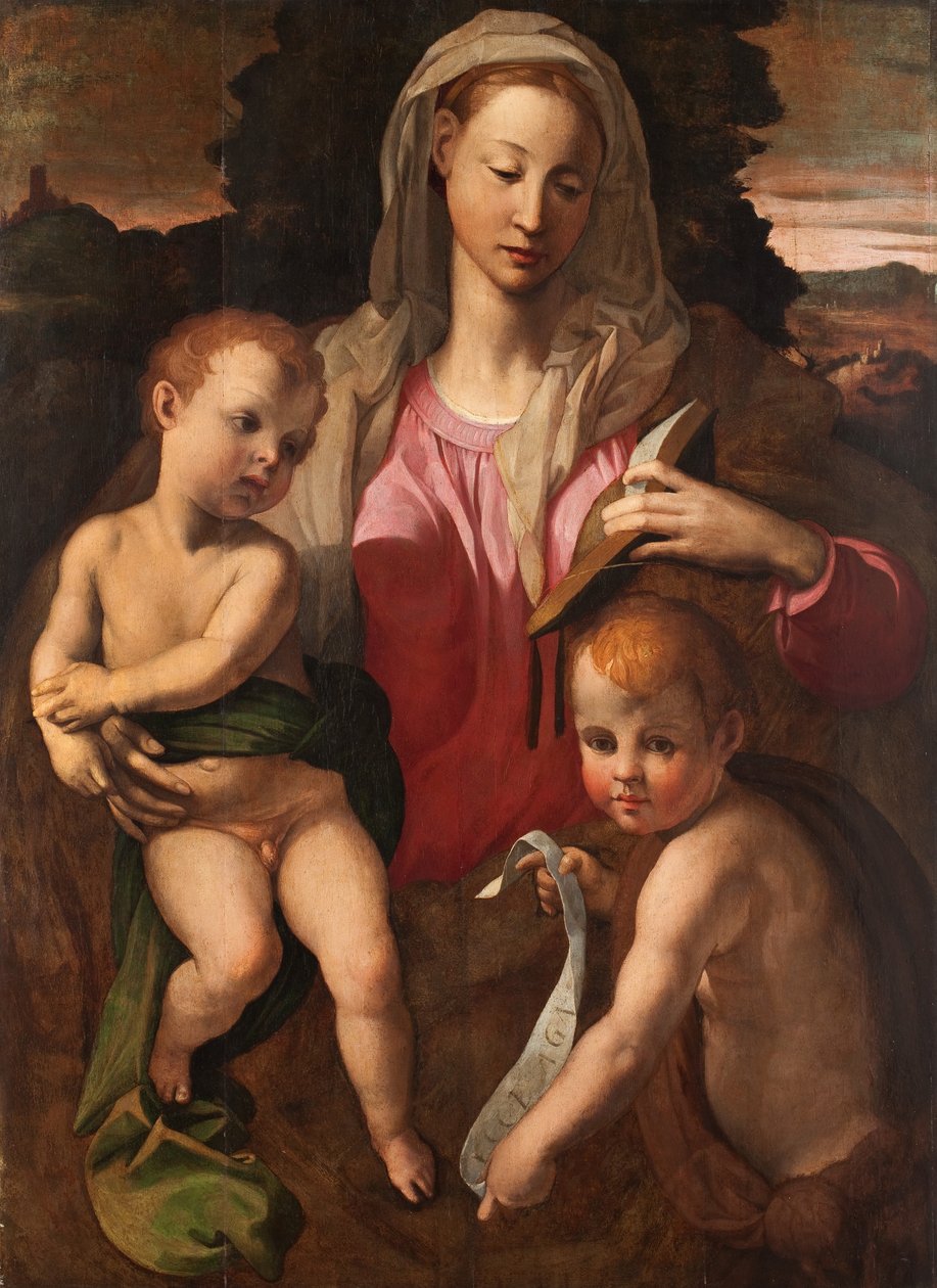  द्वारा Bronzino