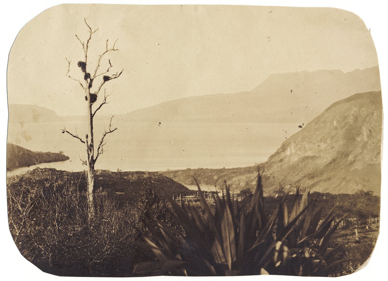 वरोआ से झील और माउंट तरावरा, 1860 (एल्बम प्रिंट द्वारा ब्रूनो हैमेल