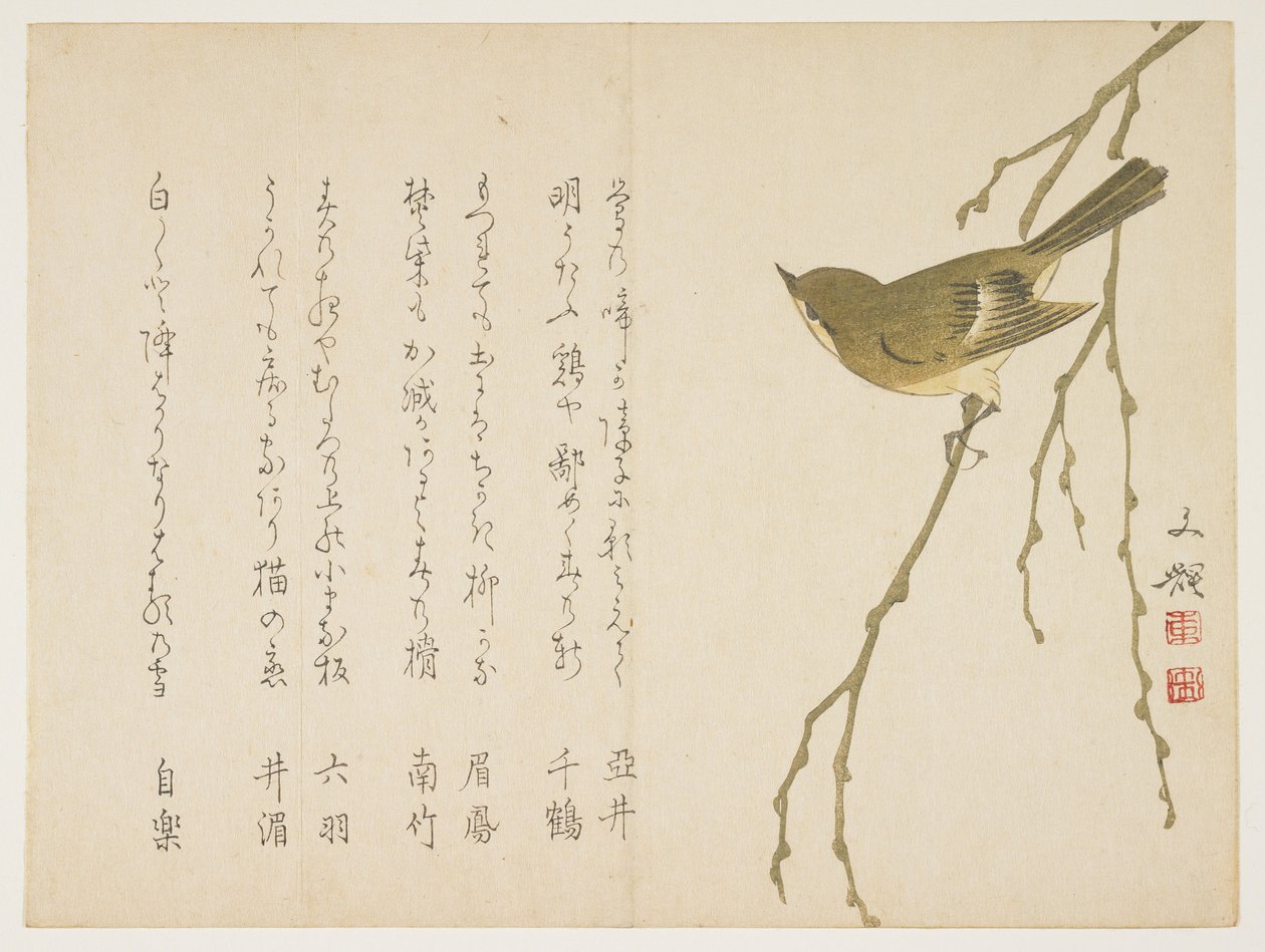 एक विलो शाखा पर कोकिला, c.1860 (कलर वुडब्लॉक प्रिंट) द्वारा Bunki