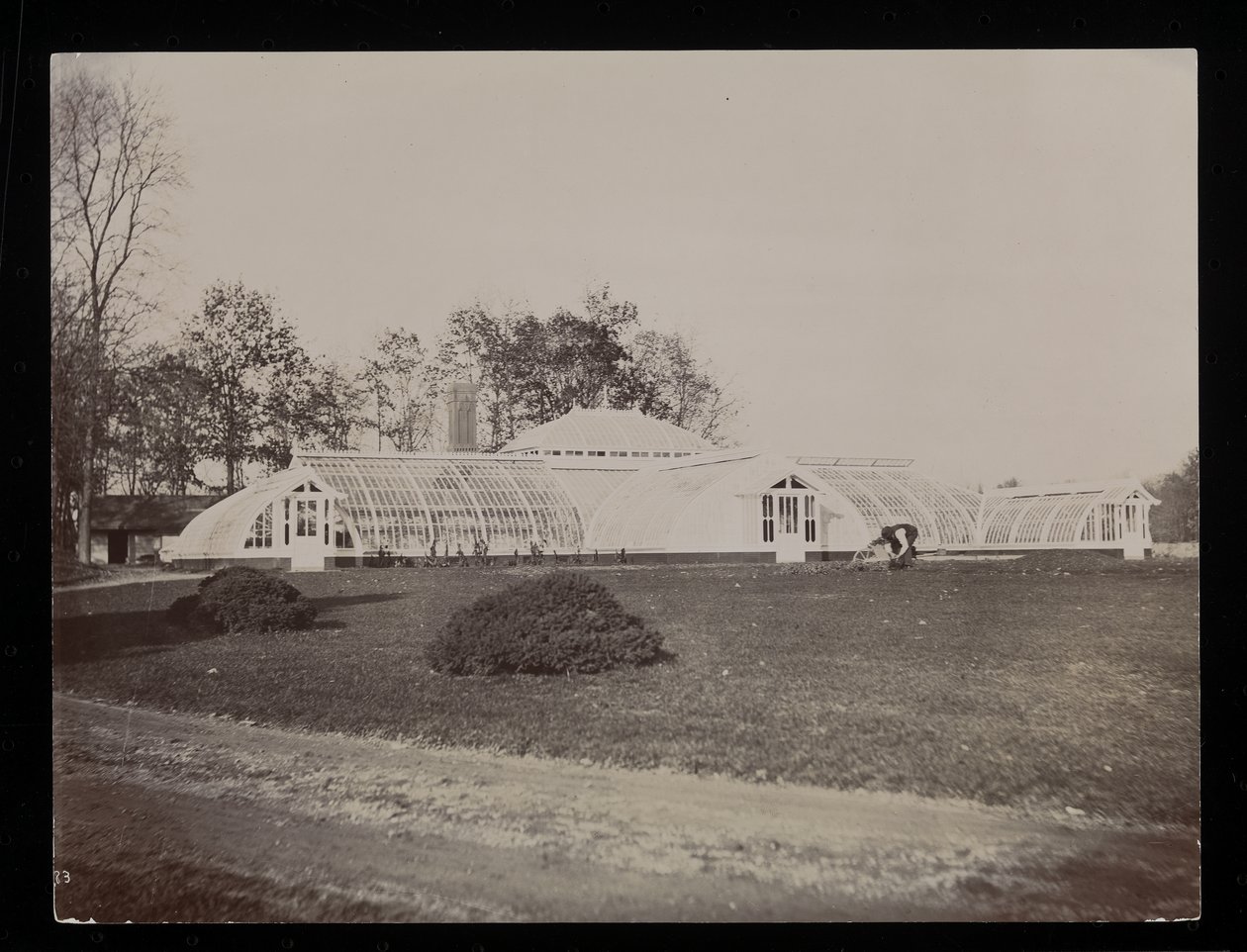 Rhinecliff, NY, 1893-94 में जॉन जैकब एस्टोर एस्टेट पर एक ग्रीनहाउस (सिल्वर जिलेटिन प्रिंट) द्वारा बायरन कंपनी