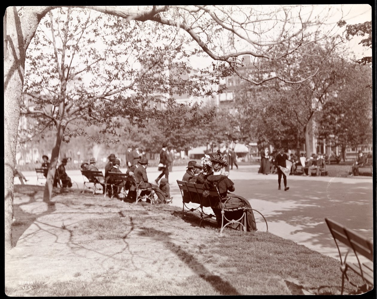 यूनियन स्क्वायर, न्यूयॉर्क में पार्क बेंच पर लोग, 1898 (सिल्वर जिलेटिन प्रिंट) द्वारा बायरन कंपनी