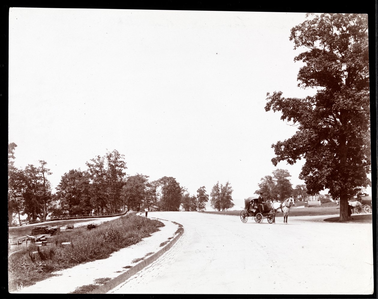 रिवरसाइड ड्राइव, न्यूयॉर्क पर एक घुड़सवार गाड़ी का दृश्य, c.1893 (सिल्वर जिलेटिन प्रिंट) द्वारा बायरन कंपनी