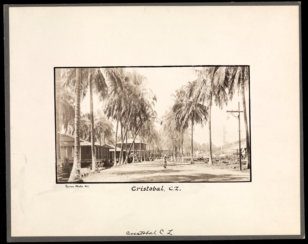 1912 या 1913 (सिल्वर जिलेटिन प्रिंट) नहर के निर्माण के दौरान क्रिस्टोबाल, पनामा के माध्यम से एक ताड़ के पेड़ की गंदगी वाली सड़क का दृश्य द्वारा बायरन कंपनी