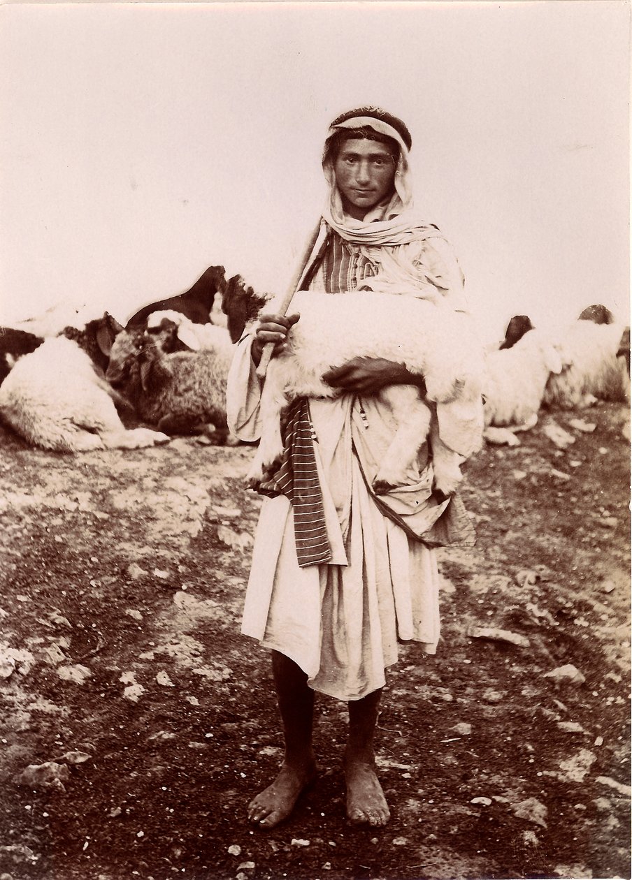 भेड़ चराने वाला एक चरवाहा लड़का, c.1894-1914 द्वारा सीए हॉर्नस्टीन