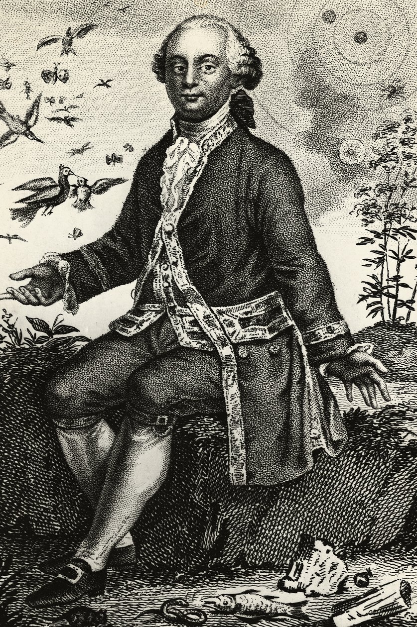 जॉर्जेस-लुई लेक्लेर डी बफन (1707-1788) का पोर्ट्रेट, फ्रांसीसी प्रकृतिवादी और गणितज्ञ, उत्कीर्णन द्वारा जेबी और ब्राउन जे। और रोबोथम