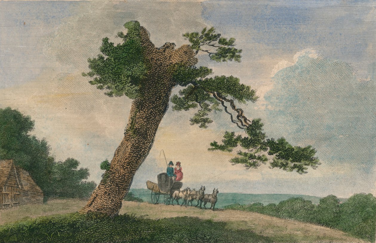 'ग्रामीण विषय', 1804। द्वारा सी टेलर