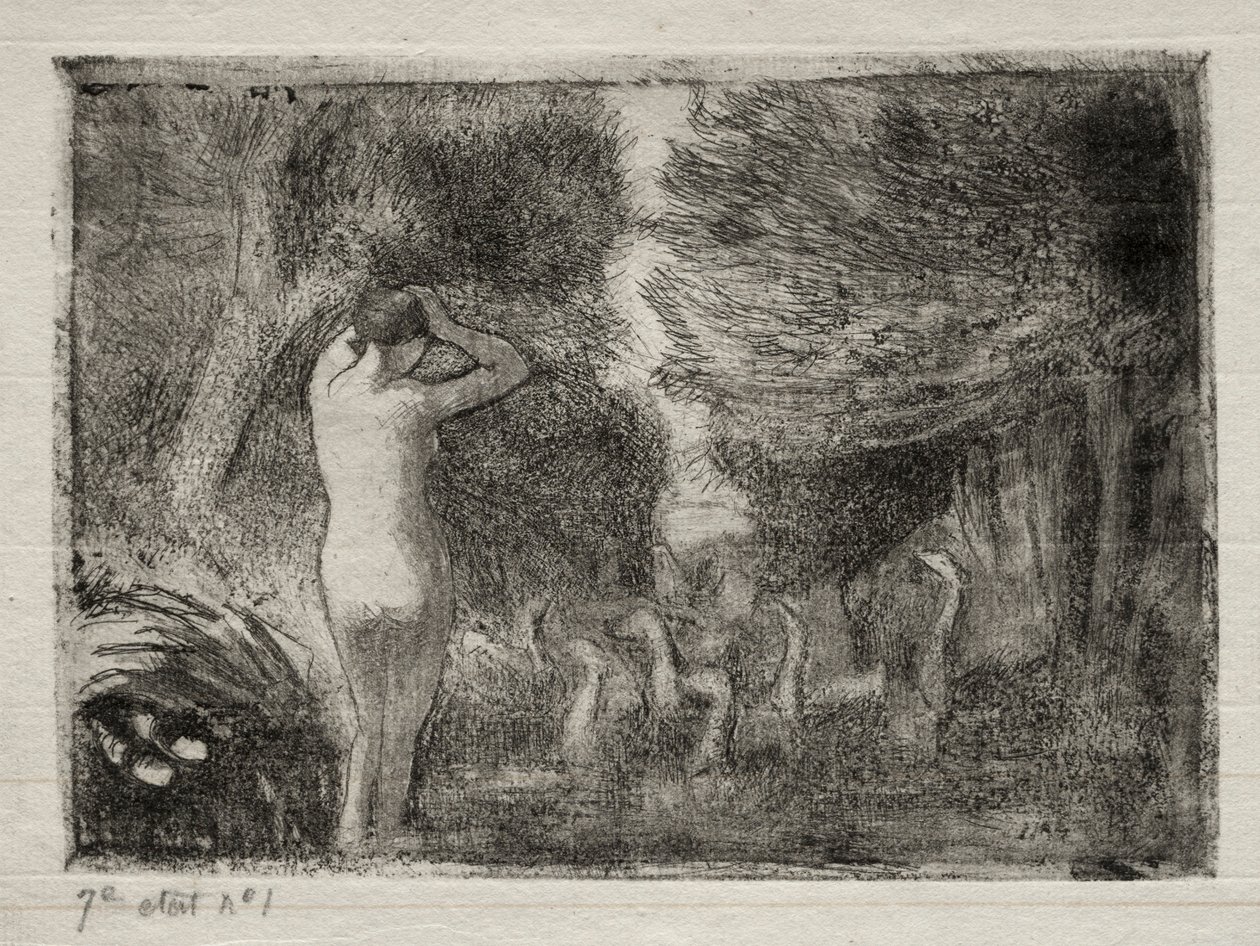बर्थ और गीज़, 1895। द्वारा केमिली जैकब पिसारो