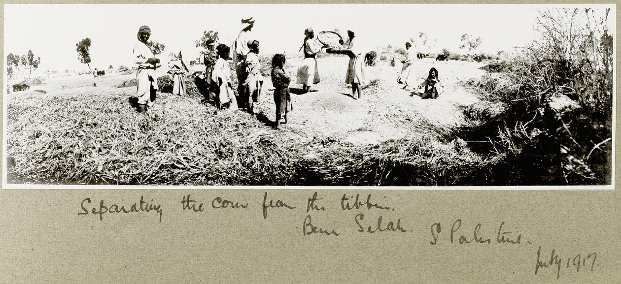 मकई, बेनी सालेह को अलग करने वाले बेडौइन, जुलाई 1917 द्वारा कैप्टन। आर्थर रोड्स