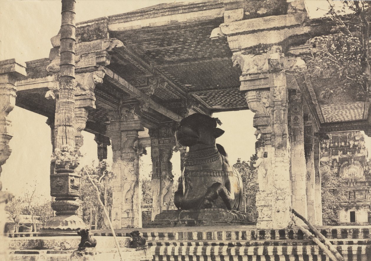 ग्रेट पैगोडा, ग्रेट बुल, फ्रंट व्यू, तंजौर, भारत राजराजेश्वरा मंदिर, 1857। द्वारा कैप्टन लिनिअस ट्रिपे