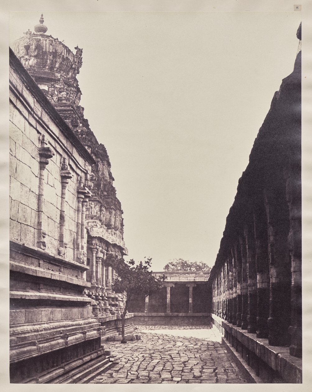  द्वारा कैप्टन लिनिअस ट्रिपे