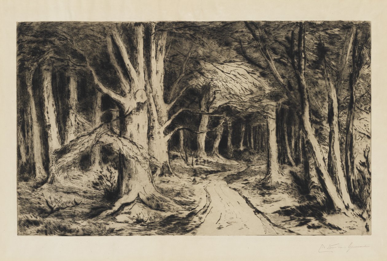 वन पथ, c.1885 द्वारा कैरेल निकोलास स्टॉर्म वैन ग्रेवसांडे