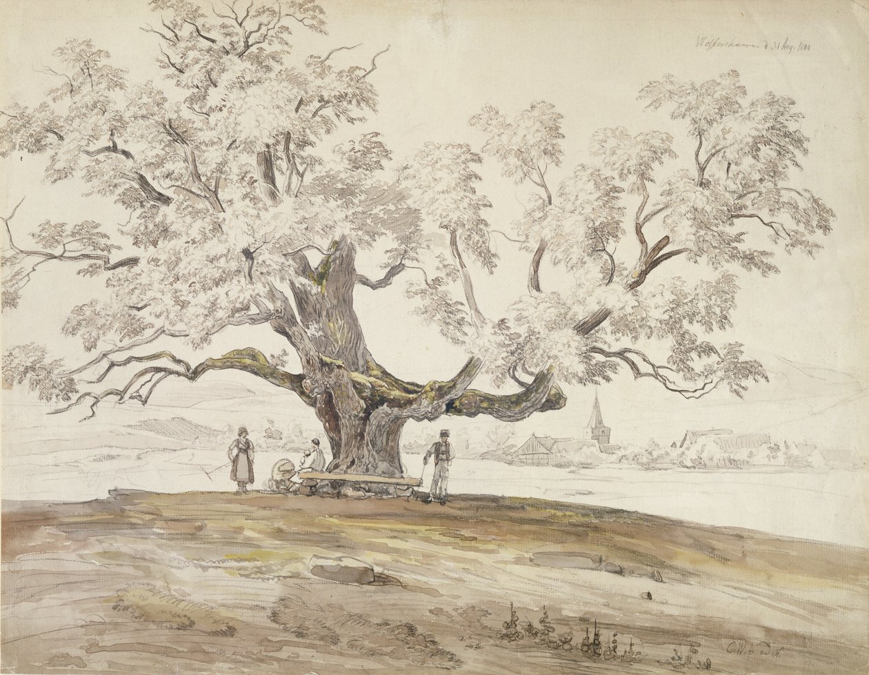 एक पुराने ओक ट्री, 1844 के साथ वोल्फर्सहॉउस बीनी माइनिंगेन का दृश्य (कागज पर ग्रेफाइट और डब्ल्यूसी) द्वारा कार्ल अर्न्स्ट लुडविग वैग्नर