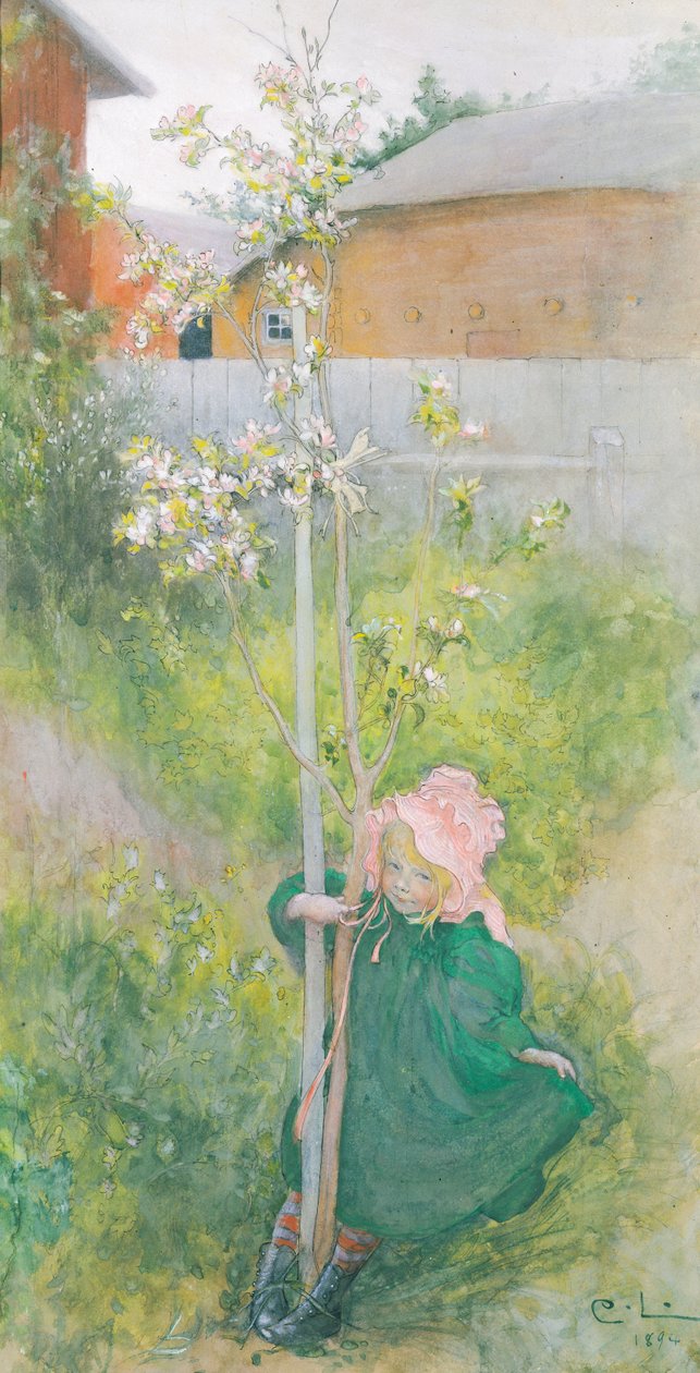 Appleblossom, 1894 द्वारा कार्ल लार्सन