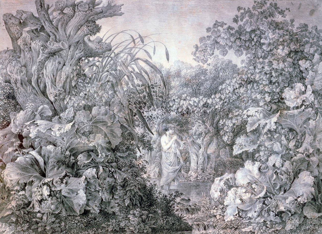 वीडेनौ की लकड़ी में एक लड़की, c1777-1835 द्वारा कार्ल विल्हेम कोल्बे द एल्डर