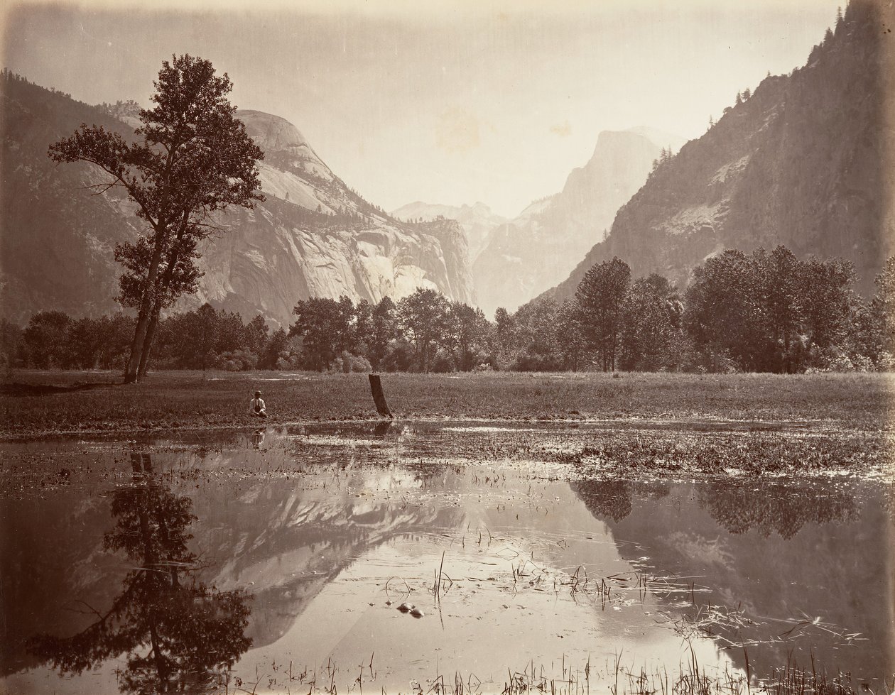 द डोम्स, योसेमाइट, सीए। 1872, मुद्रित सीए। 1876. द्वारा कार्लटन ई. वॉटकिंस।