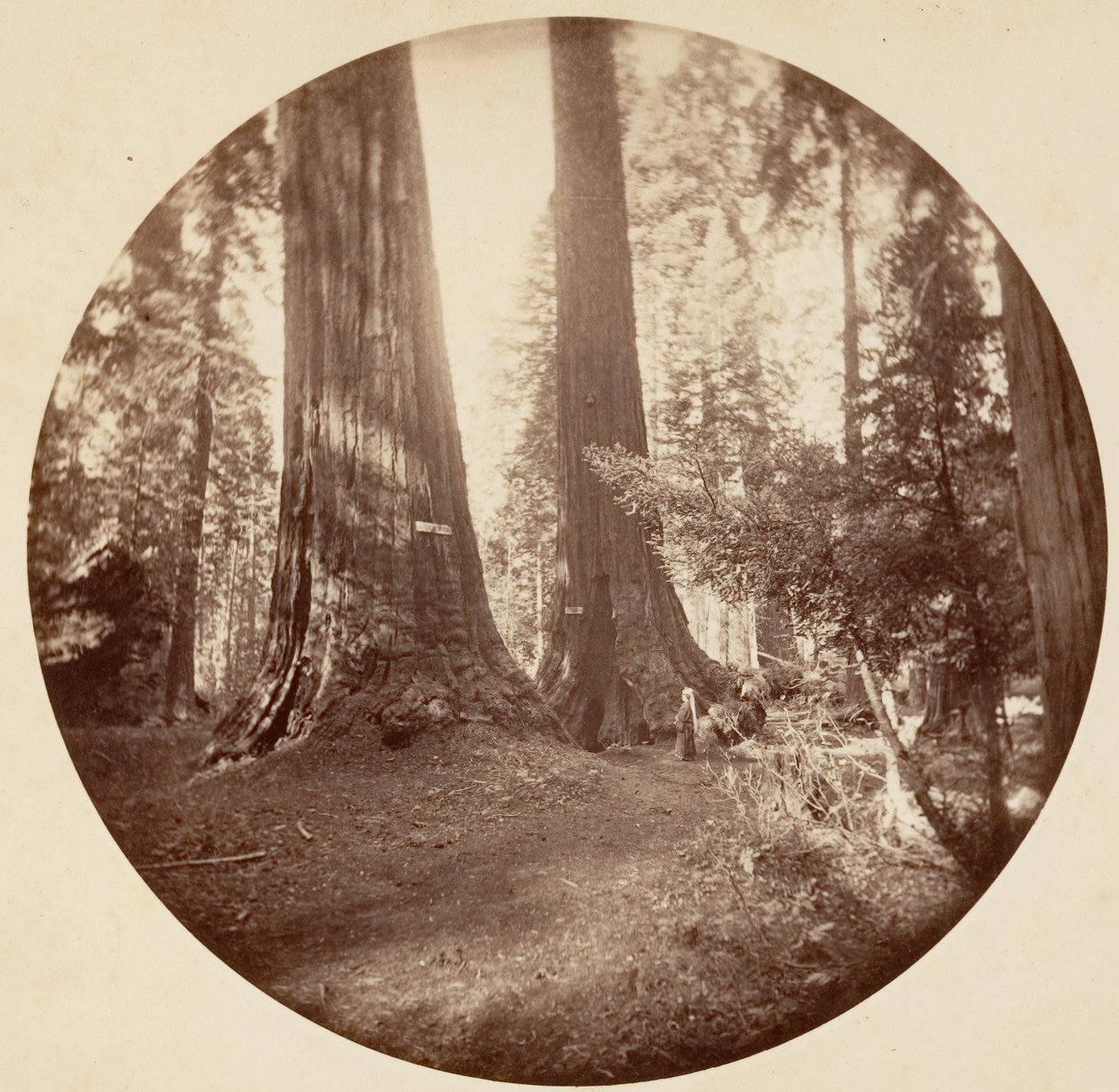 ओल्ड डोमिनियम और अंकल टॉम का टैवर्न। कैलावरस ग्रोव, सीए। 1878. द्वारा कार्लटन एम्मन्स वॉटकिंस