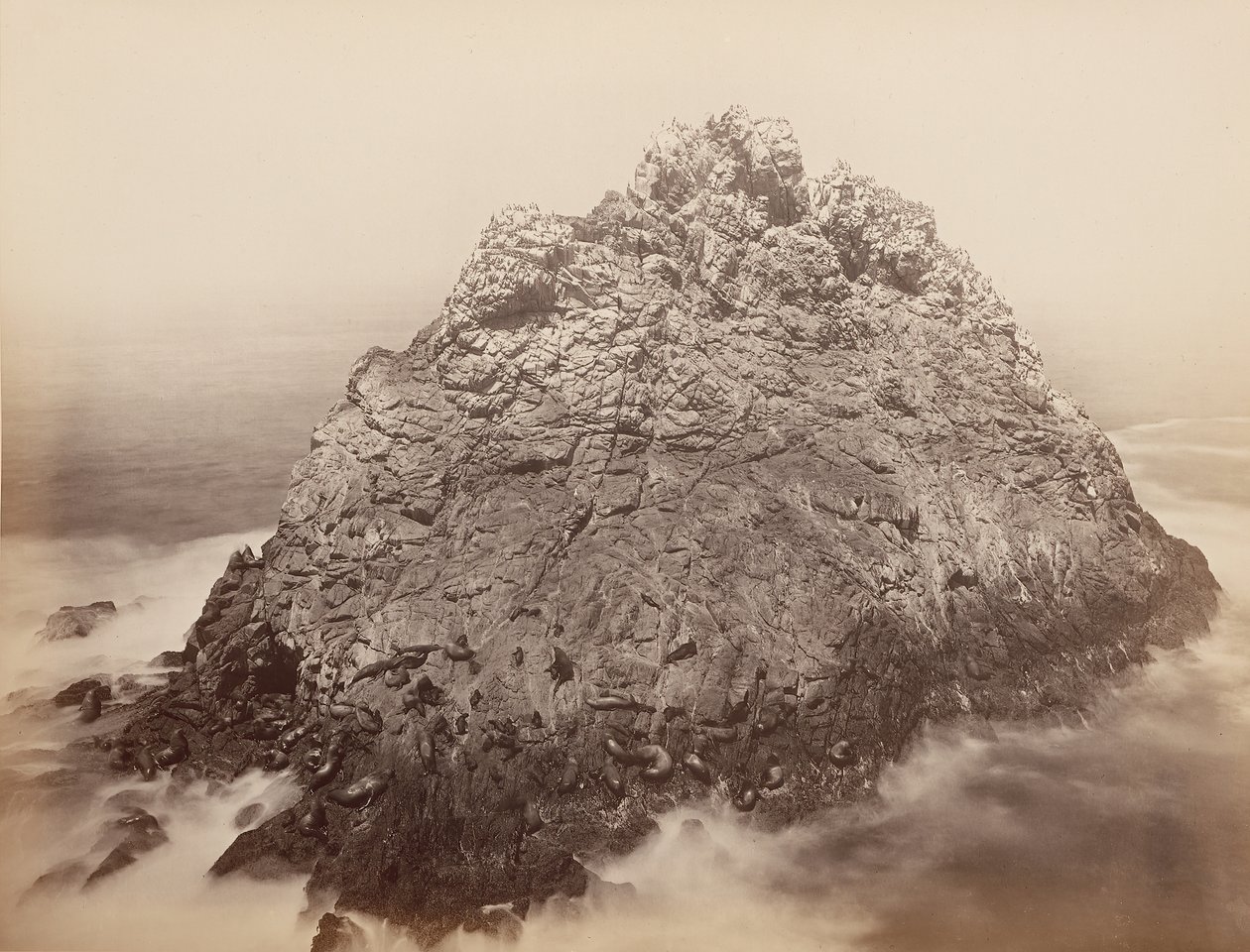 सुगर लोफ आइलैंड्स, फरलॉन्स, 1868-69। द्वारा कार्लटन एम्मन्स वॉटकिंस