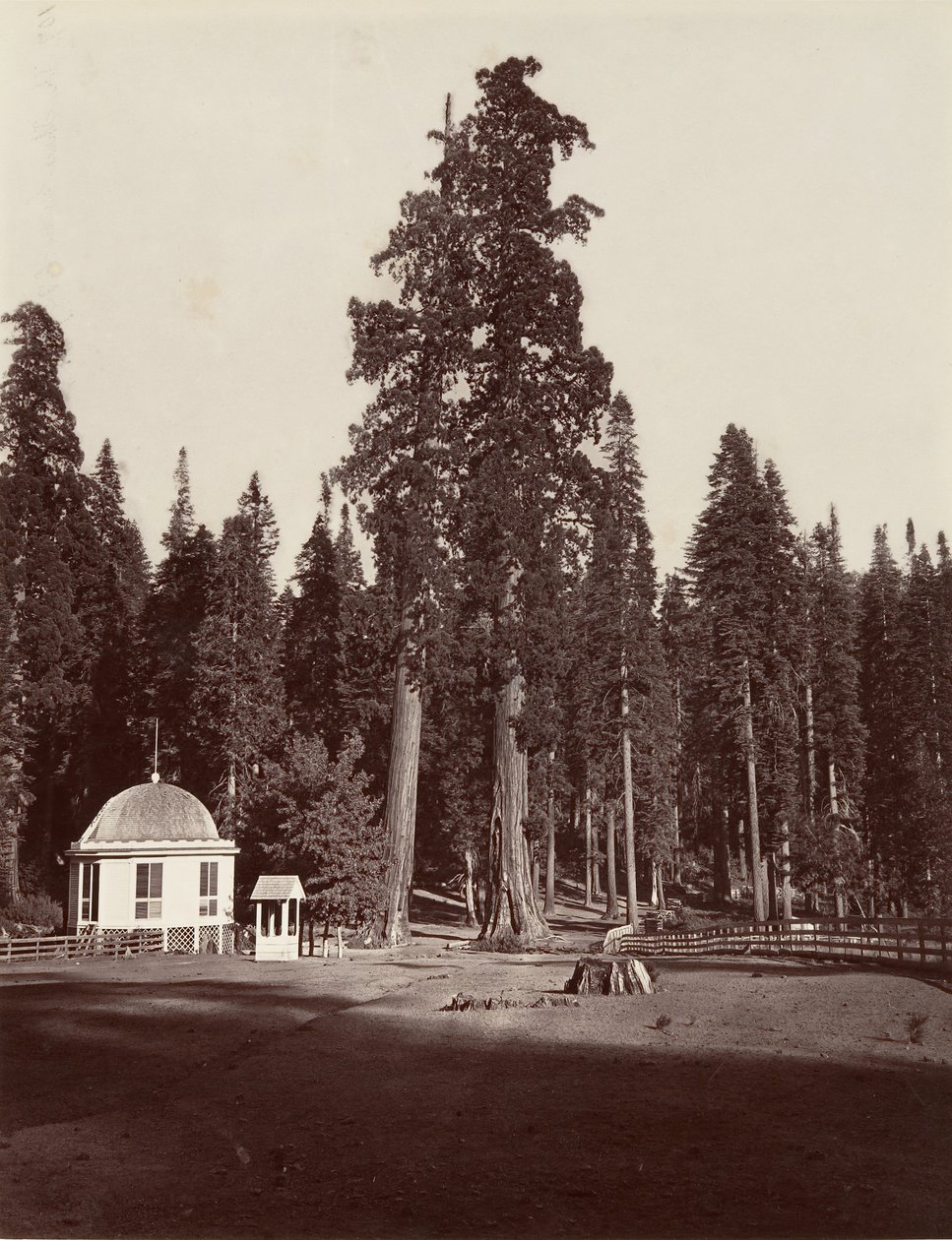 प्रहरी, 315 फीट, 1865-66, मुद्रित सीए। 1876. द्वारा कार्लटन एम्मन्स वॉटकिंस