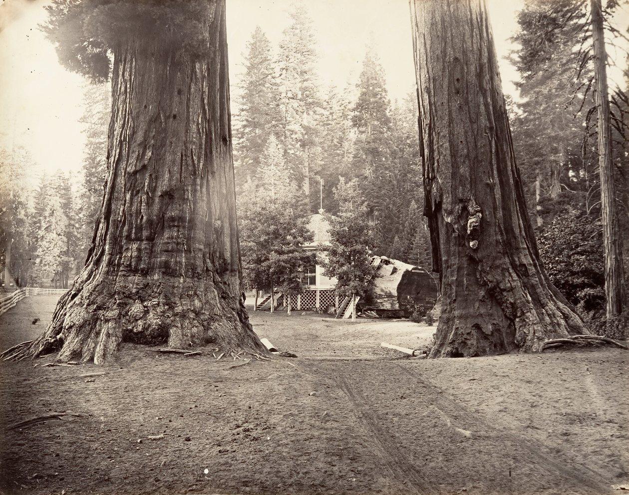प्रहरी, 315 फीट, योसेमाइट, सीए। 1872, मुद्रित सीए। 1876. द्वारा कार्लटन एम्मन्स वॉटकिंस