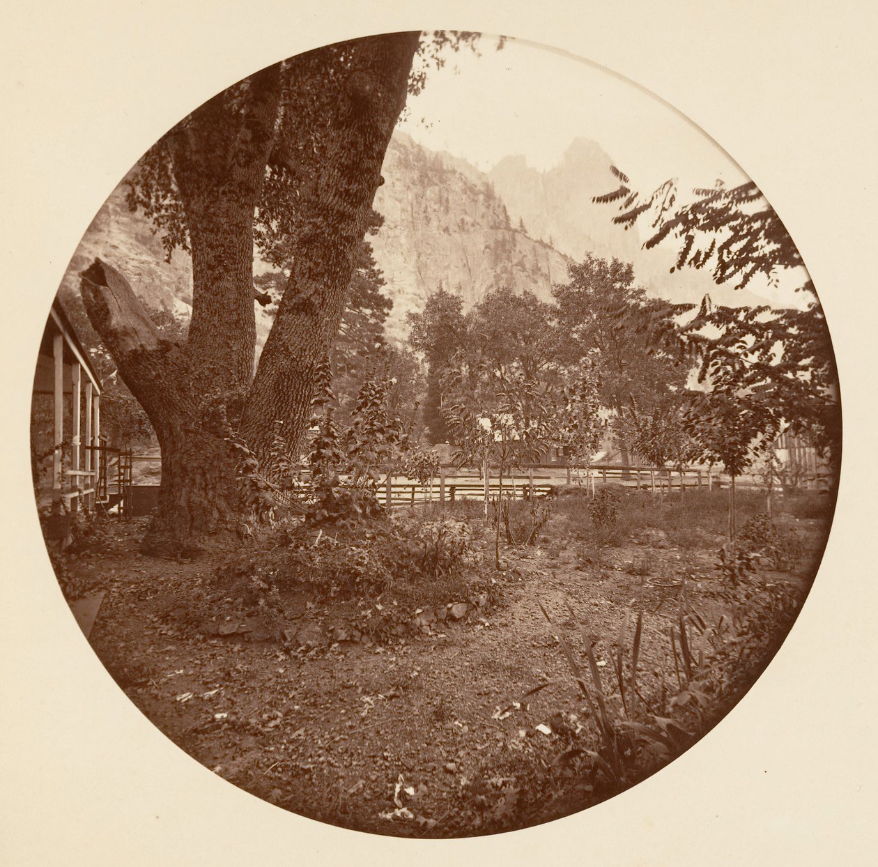[योसेमाइट नेशनल पार्क, कैलिफ़ोर्निया], सीए। 1878. द्वारा कार्लटन एम्मन्स वॉटकिंस
