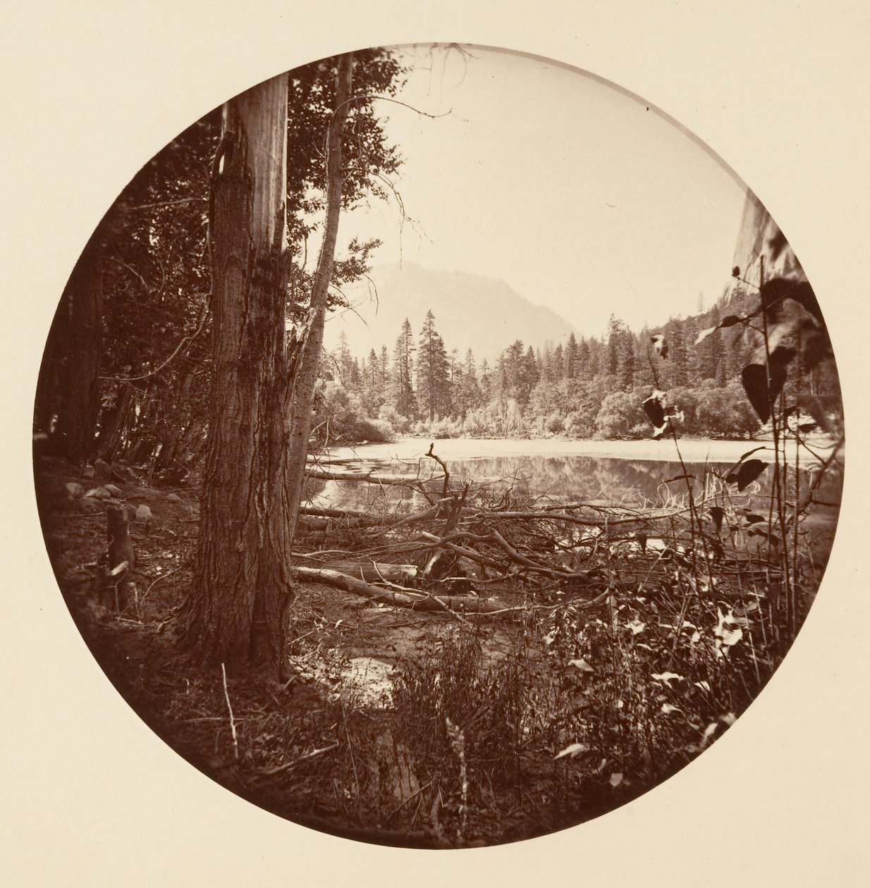 [योसेमाइट नेशनल पार्क, कैलिफ़ोर्निया], सीए। 1878. द्वारा कार्लटन एम्मन्स वॉटकिंस