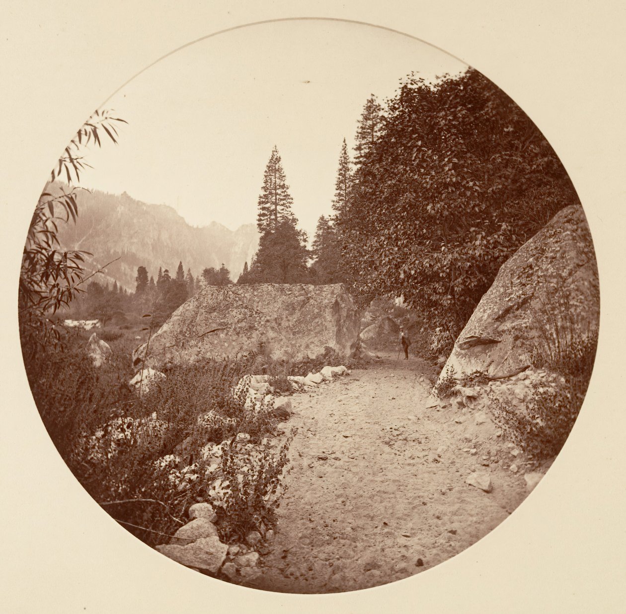 [योसेमाइट नेशनल पार्क, कैलिफ़ोर्निया], सीए। 1878. द्वारा कार्लटन एम्मन्स वॉटकिंस