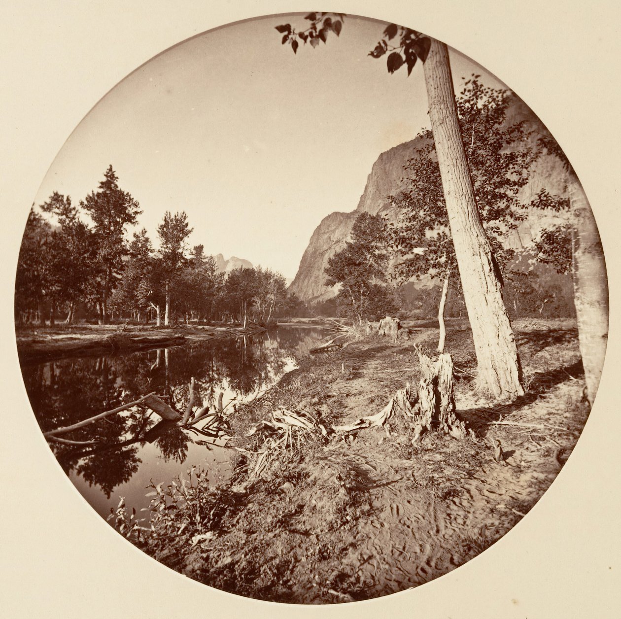 [योसेमाइट नेशनल पार्क, कैलिफ़ोर्निया], सीए। 1878. द्वारा कार्लटन एम्मन्स वॉटकिंस