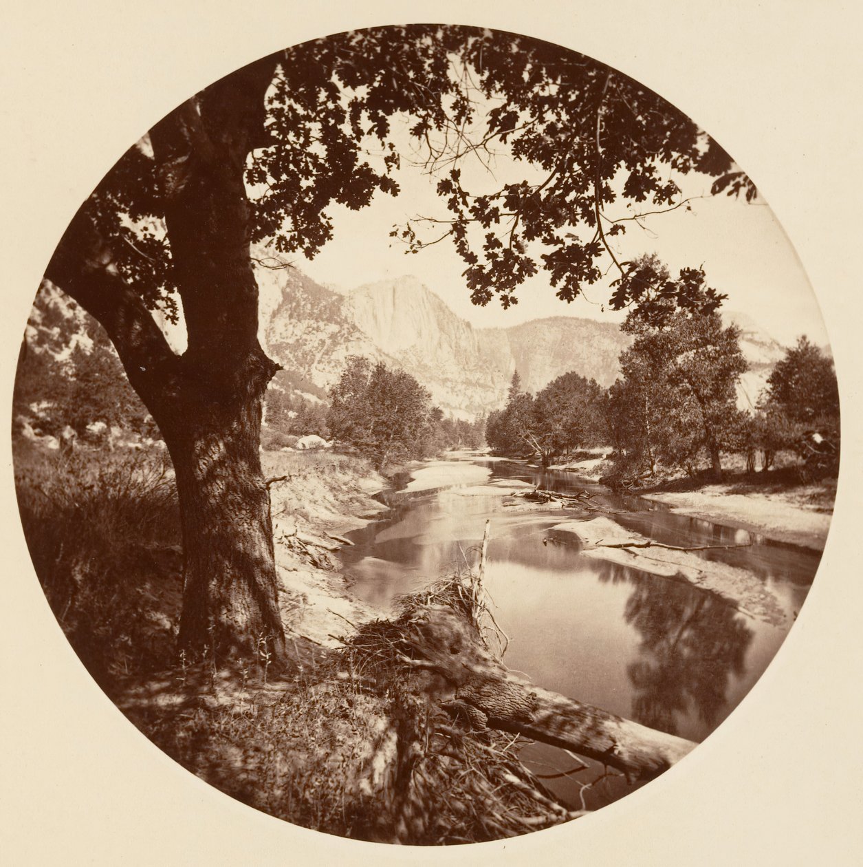 [योसेमाइट नेशनल पार्क, कैलिफ़ोर्निया], सीए। 1878. द्वारा कार्लटन एम्मन्स वॉटकिंस