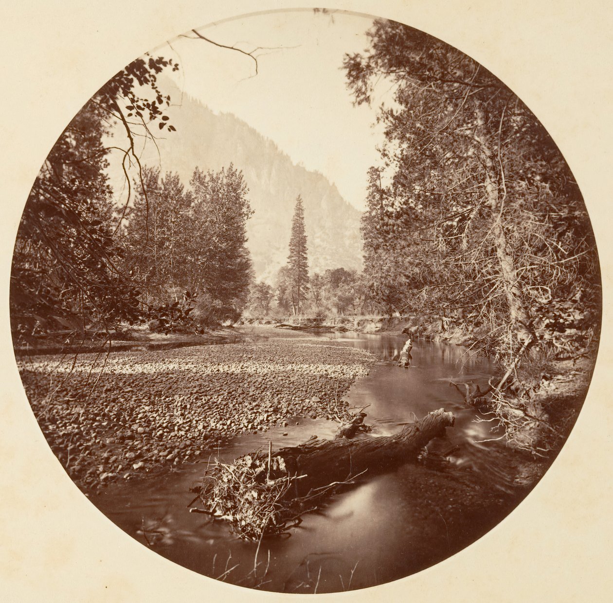 [योसेमाइट नेशनल पार्क, कैलिफ़ोर्निया], सीए। 1878. द्वारा कार्लटन एम्मन्स वॉटकिंस