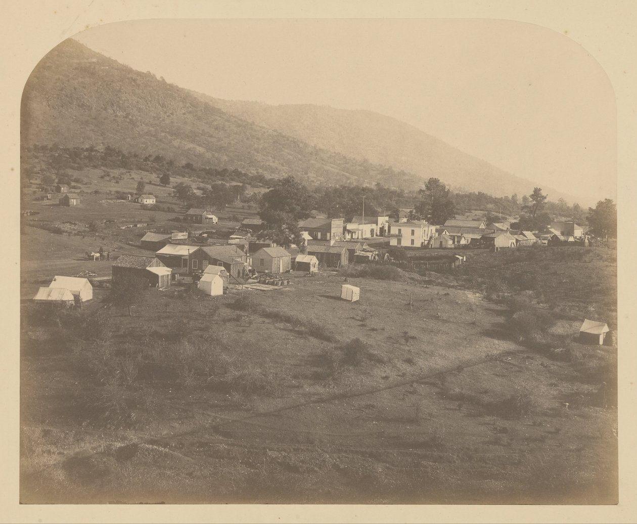 भालू घाटी - पूर्व द्वारा कार्लटन वॉटकिंस