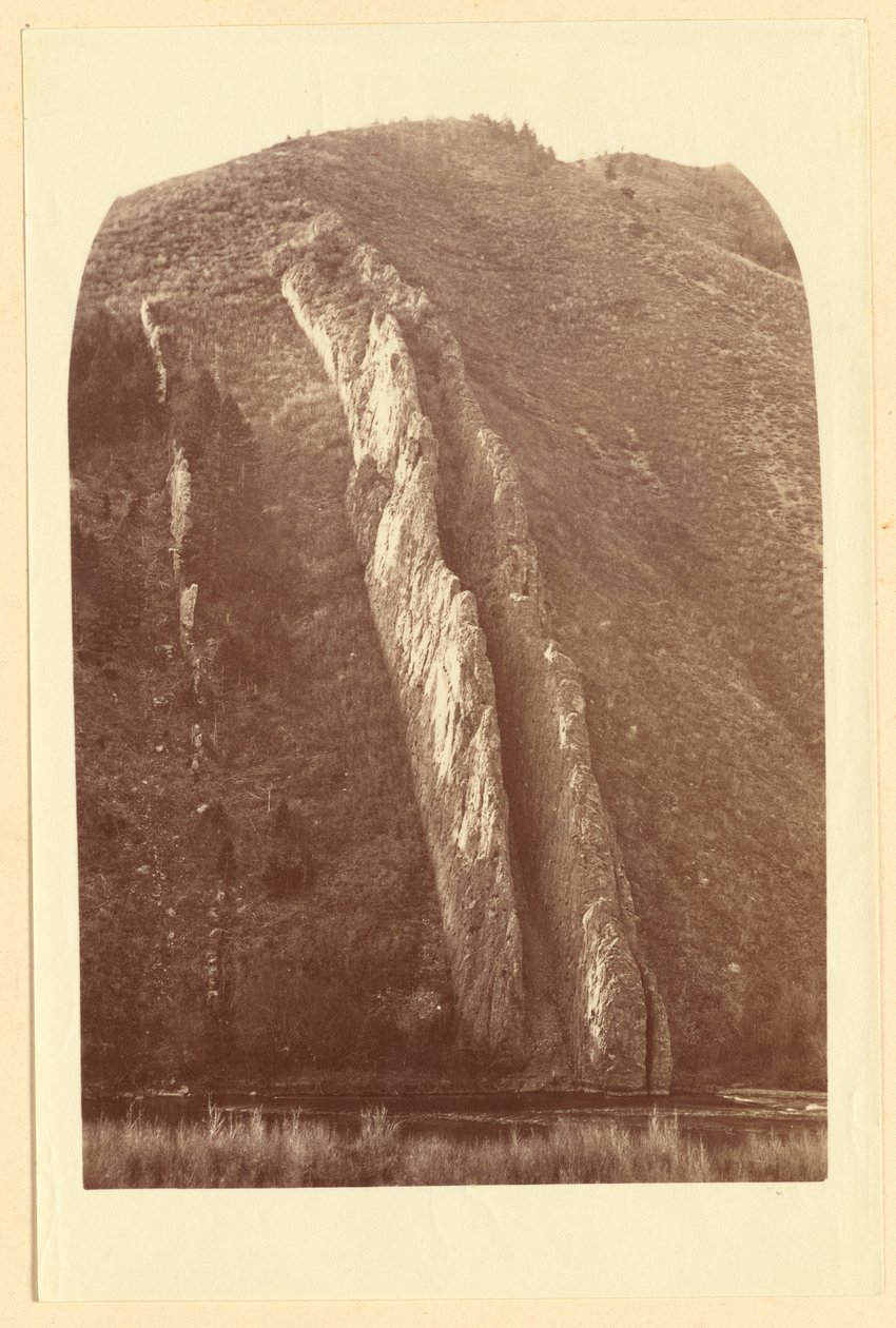  द्वारा कार्लटन वॉटकिंस
