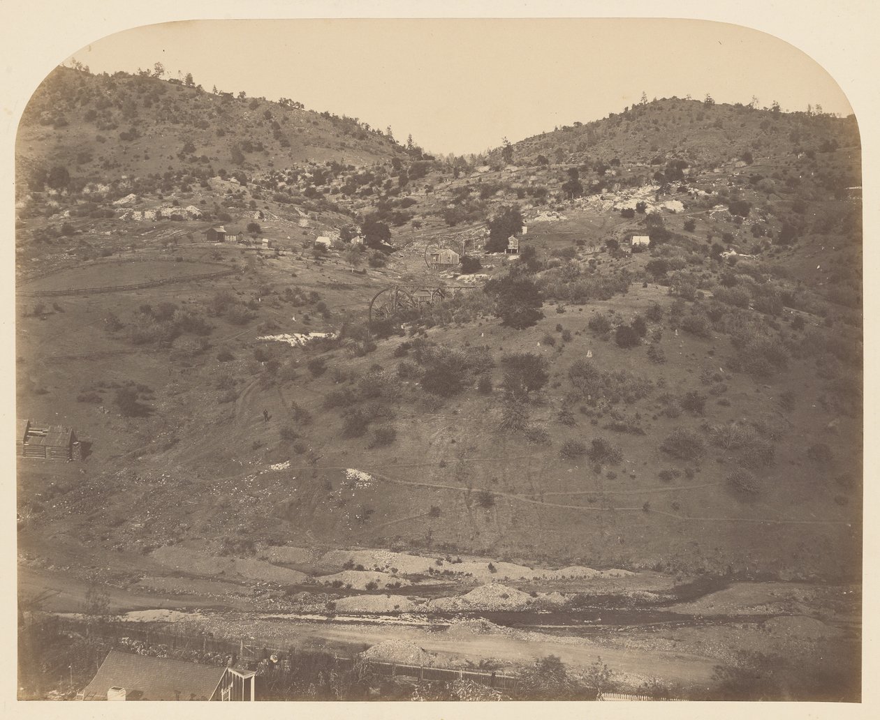  द्वारा कार्लटन वॉटकिंस