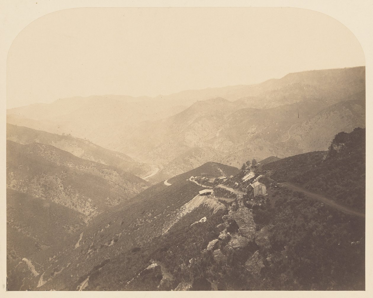  द्वारा कार्लटन वॉटकिंस