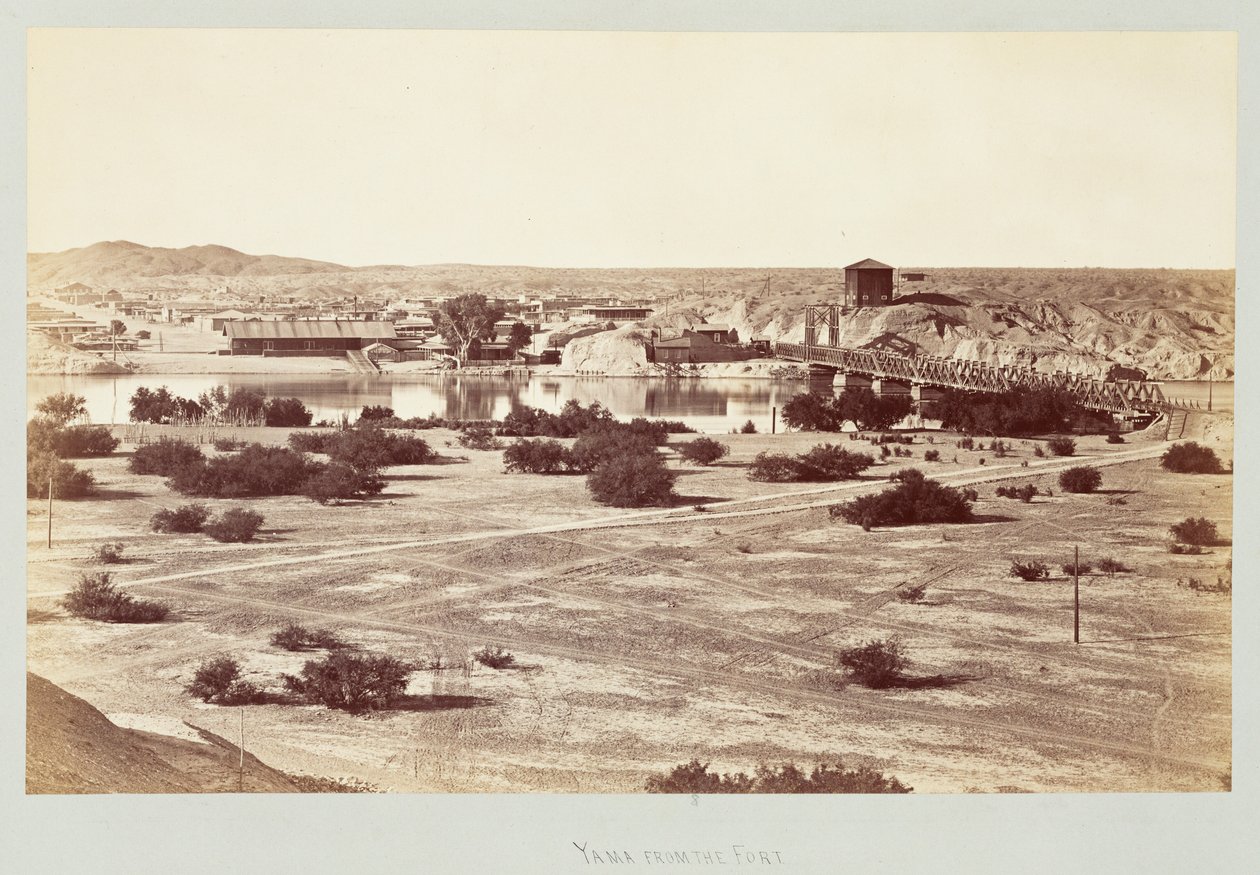  द्वारा कार्लटन वॉटकिंस